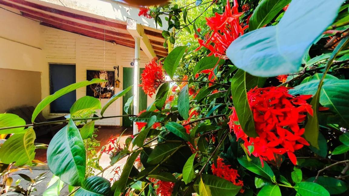 Hostal Club Mochileroラ・リベルタード エクステリア 写真