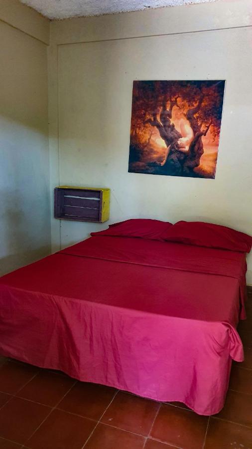 Hostal Club Mochileroラ・リベルタード エクステリア 写真